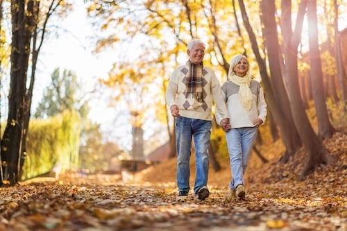 Senior couple in autumn park Adobe stock photo