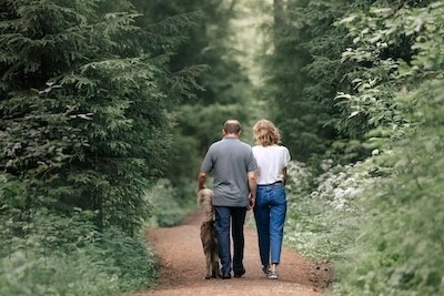 couple walking in the forest with their dog, rear view adobe stock image