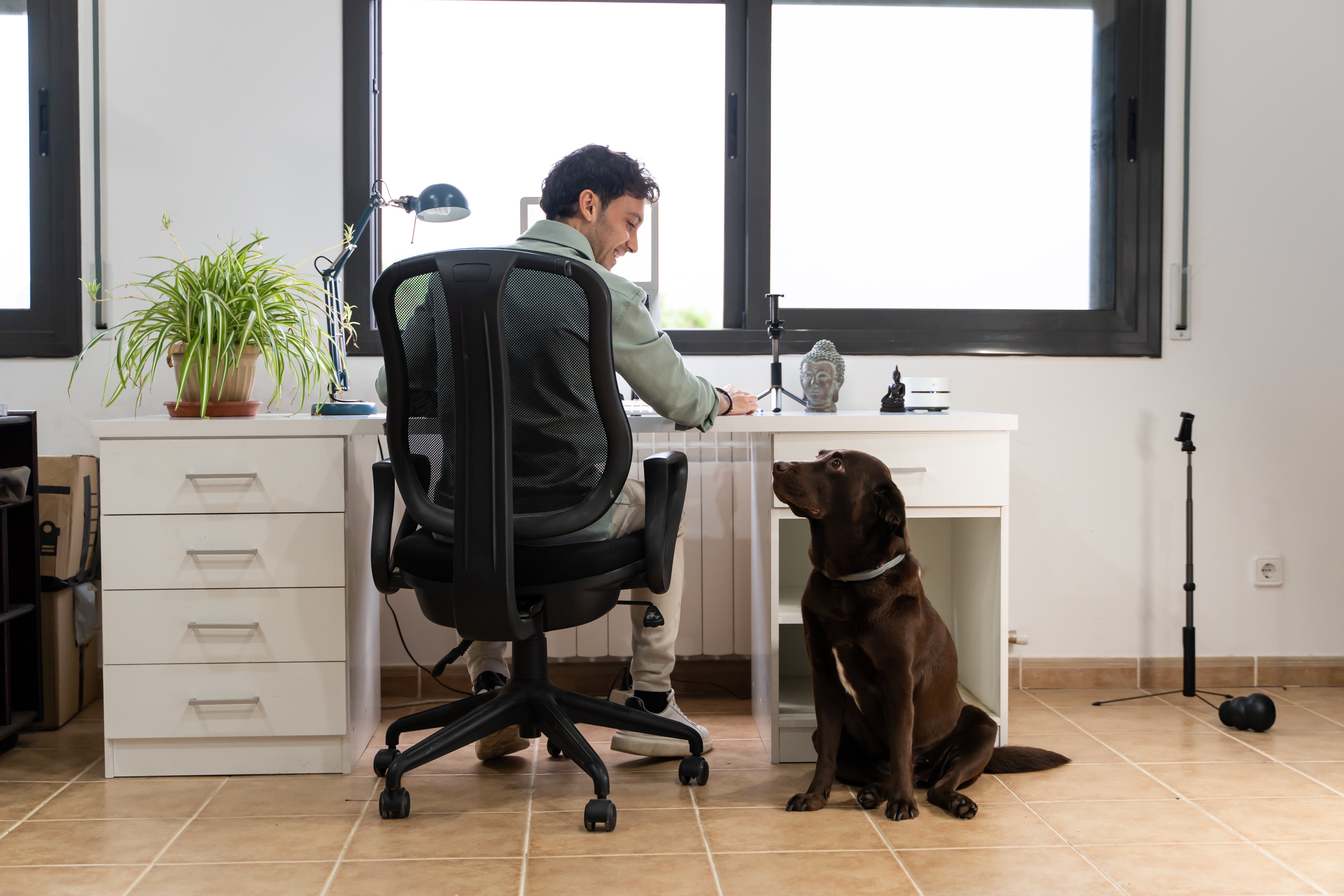 home office adobe stock image