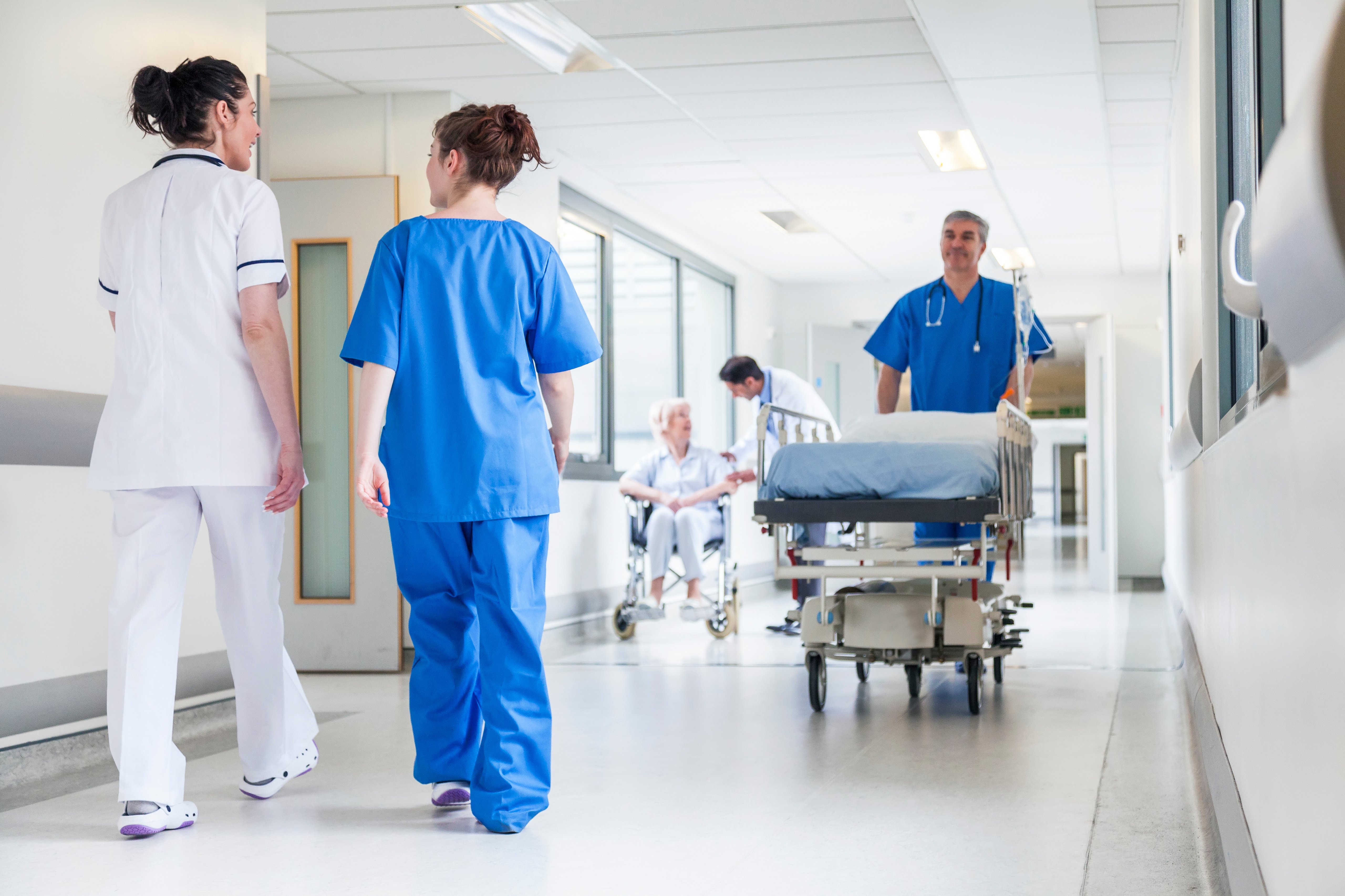 hospital medical emergency adobe stock image