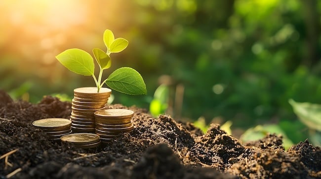 5 Smart Financial Habits to Refresh This Spring: Your Complete Money Makeover Guide