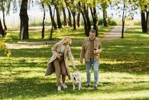Effective Mid-Year Financial Strategies for Adults 40+